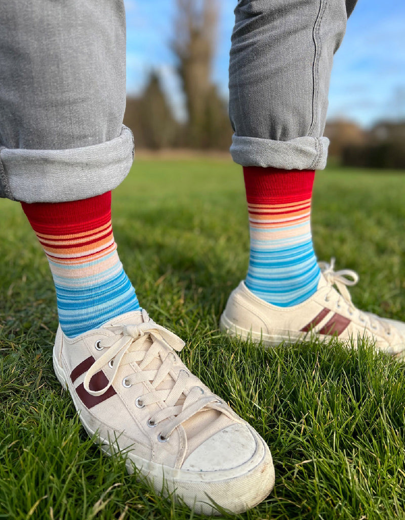 Climate Awareness socks