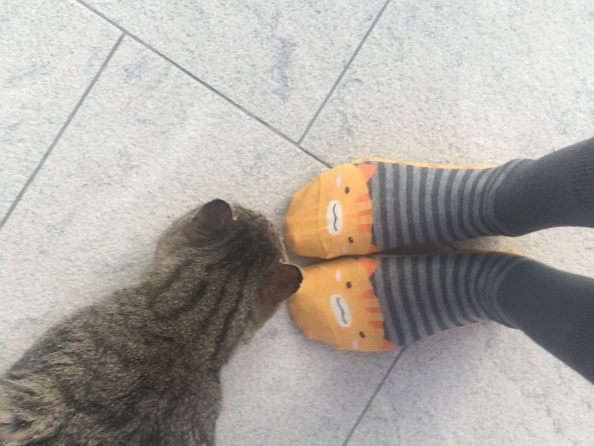 Buy Me Plain: Smitten Kitten - socksupermarket